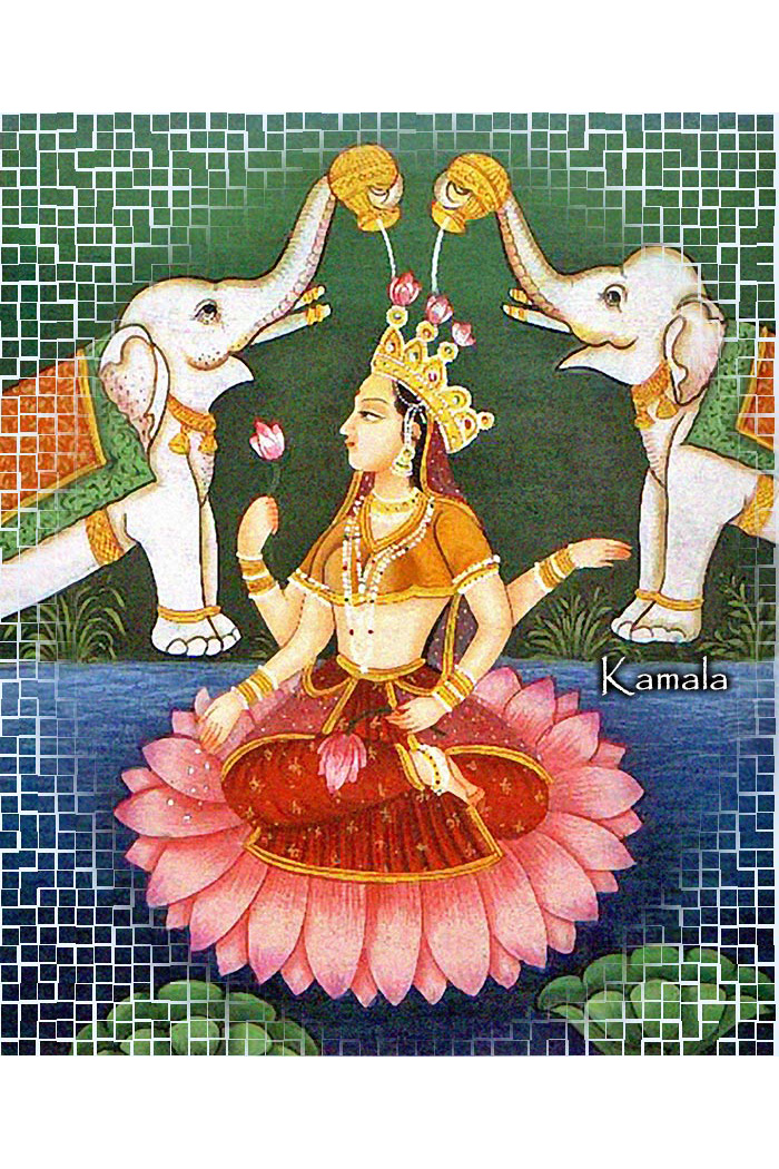समुद्र मंथन से प्राप्त हुई, धन, सुख, वैभव, सम्पन्नता की अधिष्ठात्री देवी, कमला